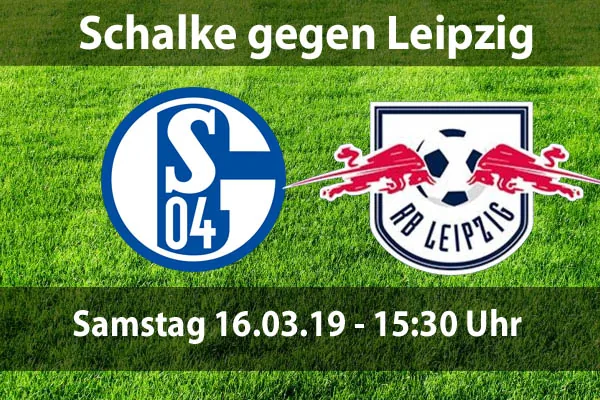 Schalke 04 live erleben