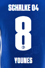 Schalke Heimtrikot (Test)
